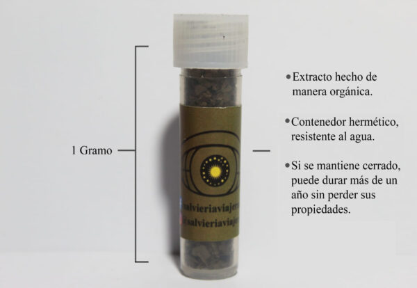 descripcion contenedor salvia 1 Gramo de extracto de Salvia divinorum 20x