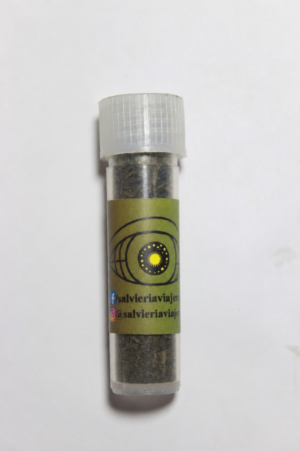 Extracto de Salvia divinorum 20x