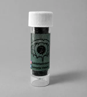 1 Gramo de extracto de Salvia divinorum 80x