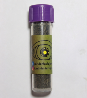 extracto 50x 1 gramo de extracto de Salvia divinorum 50x