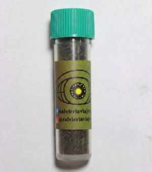 extracto40x 1 Gramo de extracto de Salvia divinorum 40x