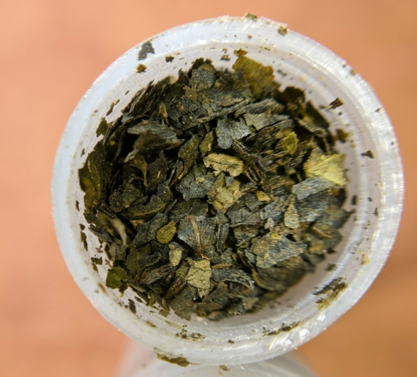 extracto 40x 1 Gramo de extracto de Salvia divinorum 40x