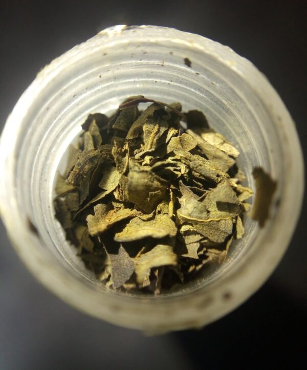 extracto30x carrete 1 gramo de extracto de Salvia divinorum 30x