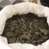 1/2 Kg de hojas de Salvia divinorum