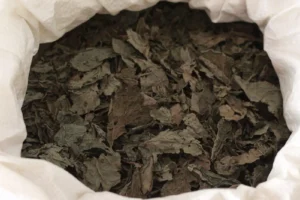 1 kg de hojas deshidratadas de Salvia divinorum