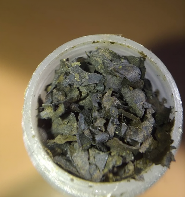 extracto50x 1 gramo de extracto de Salvia divinorum 50x